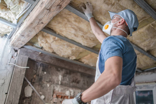 Best Energy-efficient Insulation  in Elizabethtown, NC