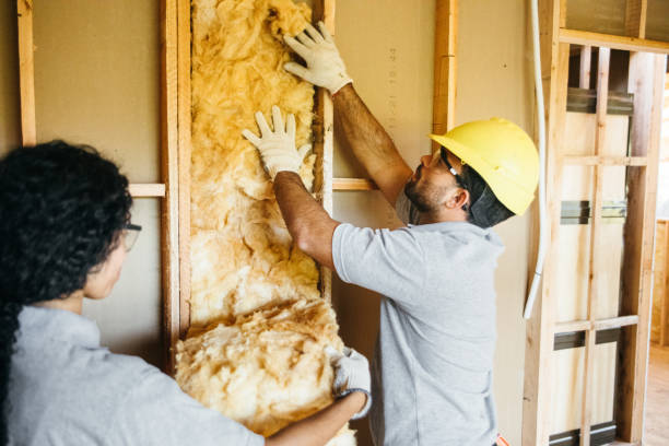 Best Local Insulation Services  in Elizabethtown, NC