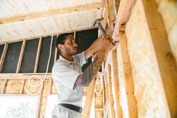 Best Insulation Removal  in Elizabethtown, NC
